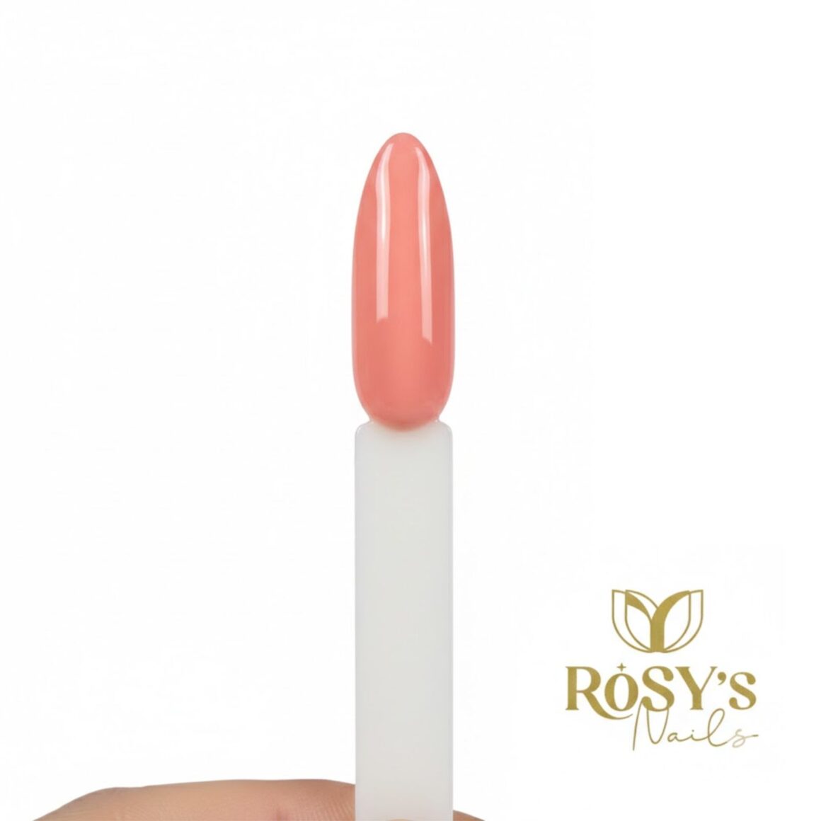 XC-466 Acrílico de Color Profesional para Uñas